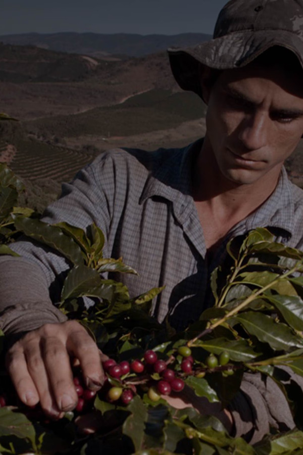 d The life of a coffee farmer today2